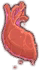 Immortal Heart Image