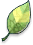 Smokie Leaf Blueprint Image